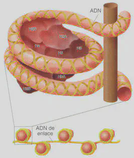 Fig. 2-11