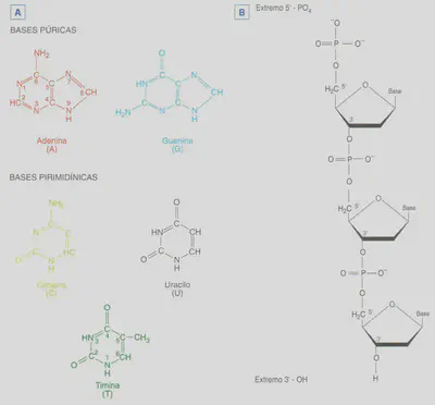 Fig. 2-13