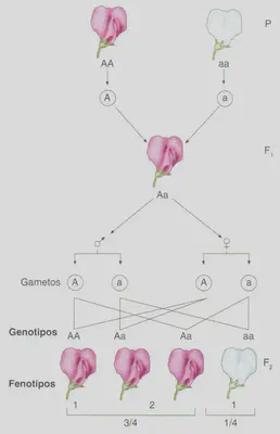 Fig. 2-3