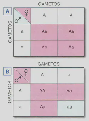 Fig. 2-4