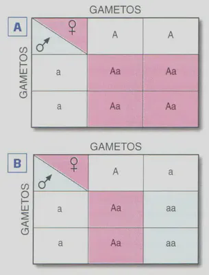 Fig. 2-5