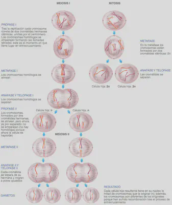 Fig. 2-7