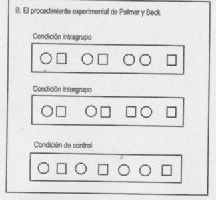 Percepción De La Forma I. Organización Perceptiva | PsicoUNED